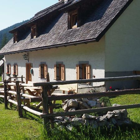 Zickerreith Almhutte Hostel Rosenau am Hengstpass Kültér fotó