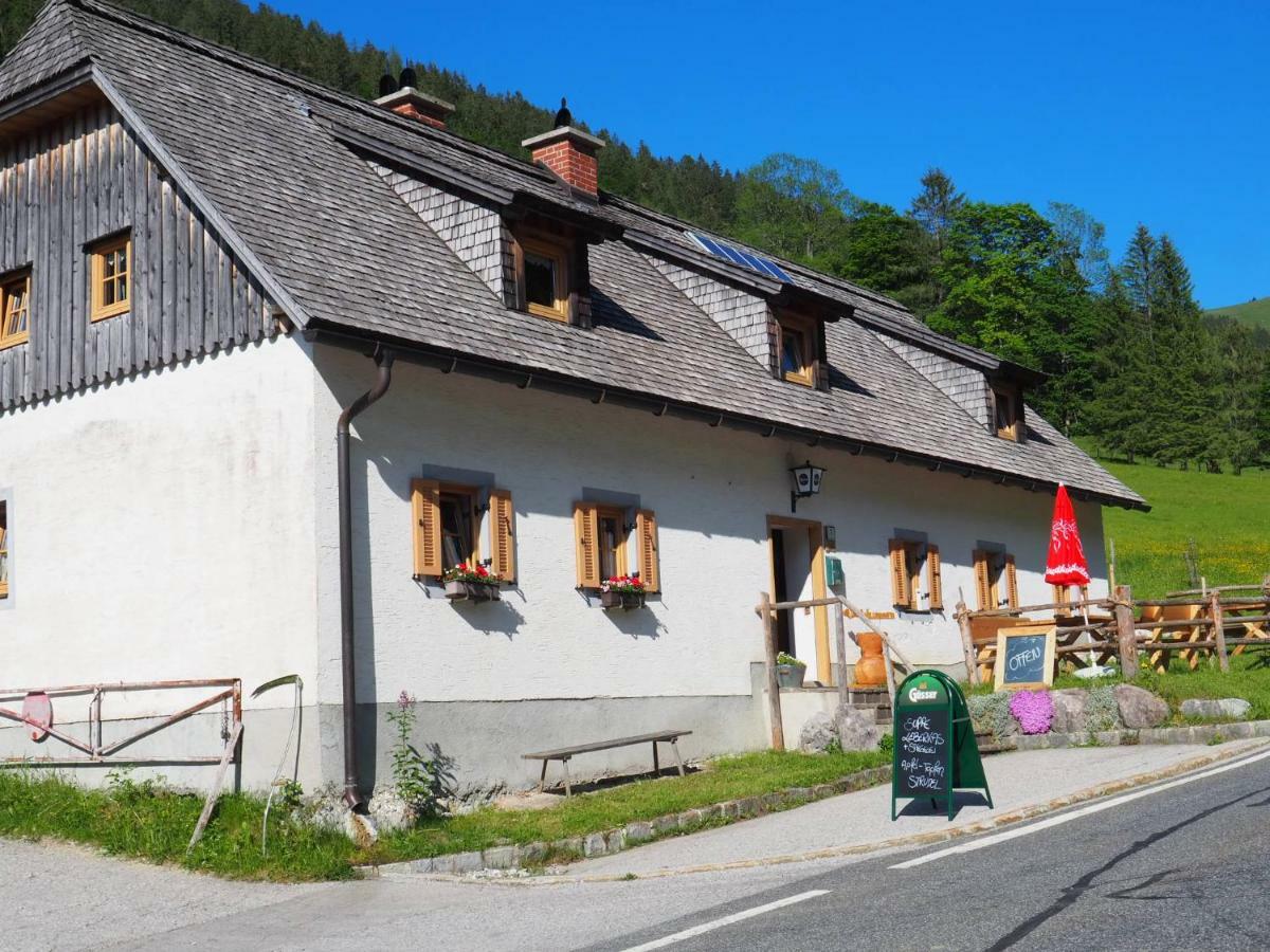 Zickerreith Almhutte Hostel Rosenau am Hengstpass Kültér fotó