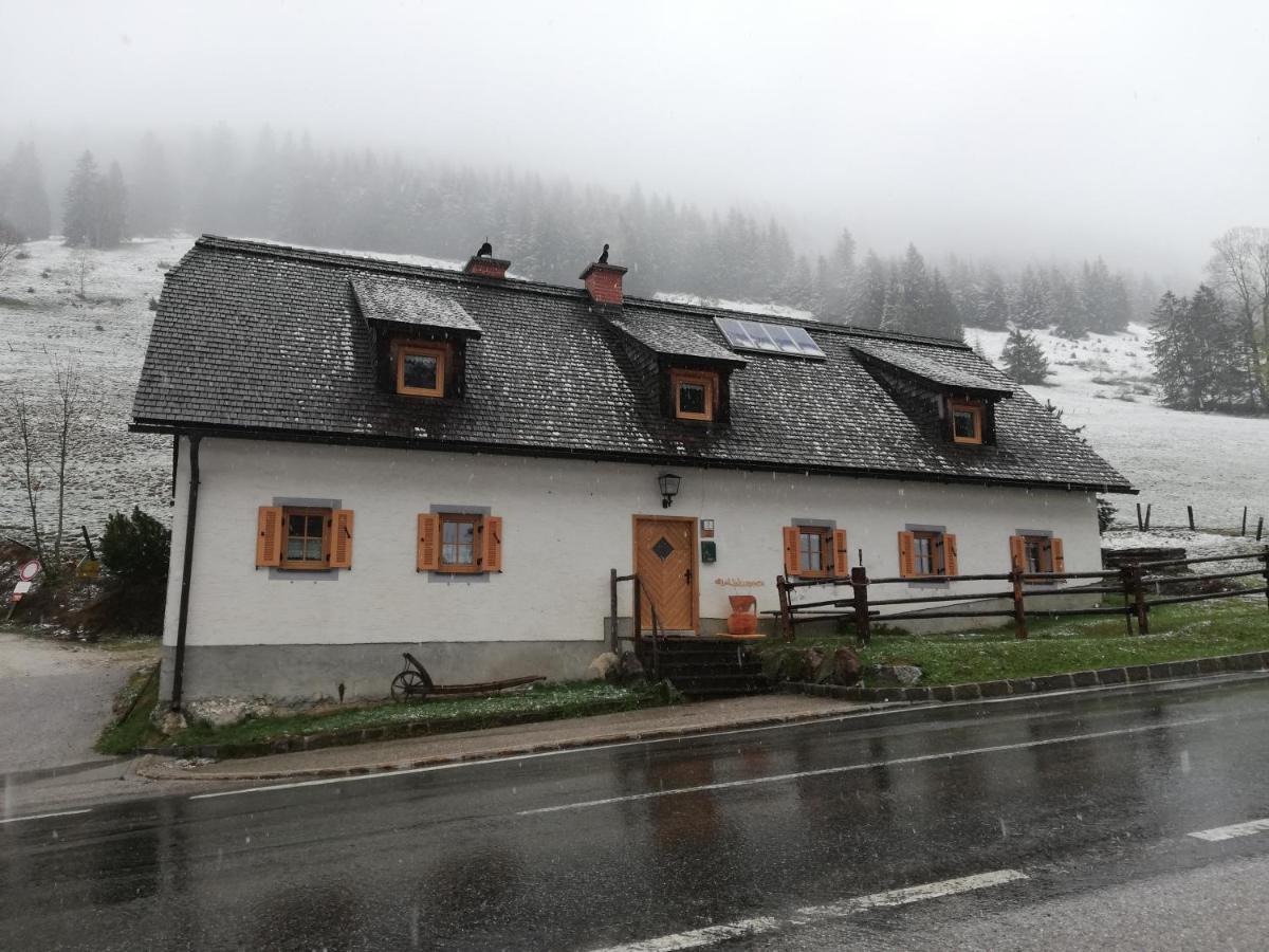 Zickerreith Almhutte Hostel Rosenau am Hengstpass Kültér fotó