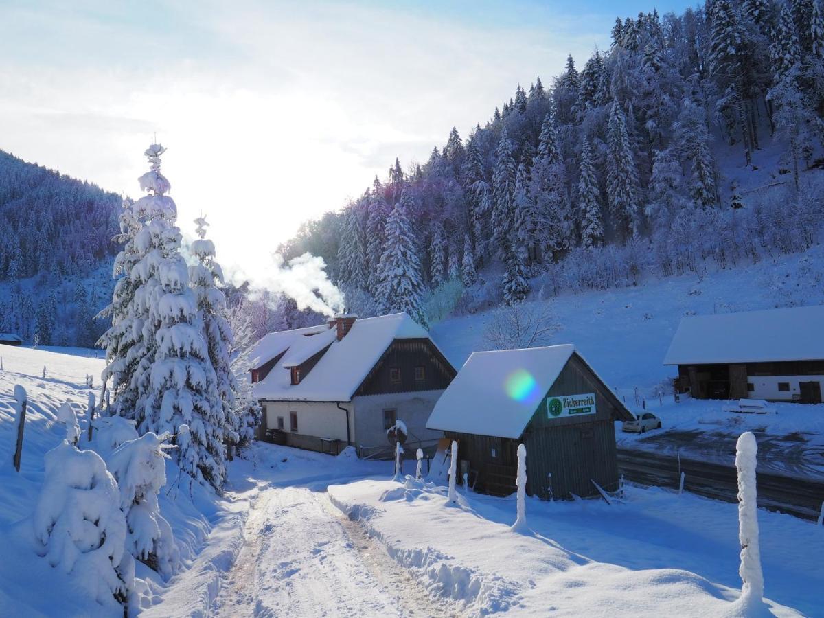 Zickerreith Almhutte Hostel Rosenau am Hengstpass Kültér fotó